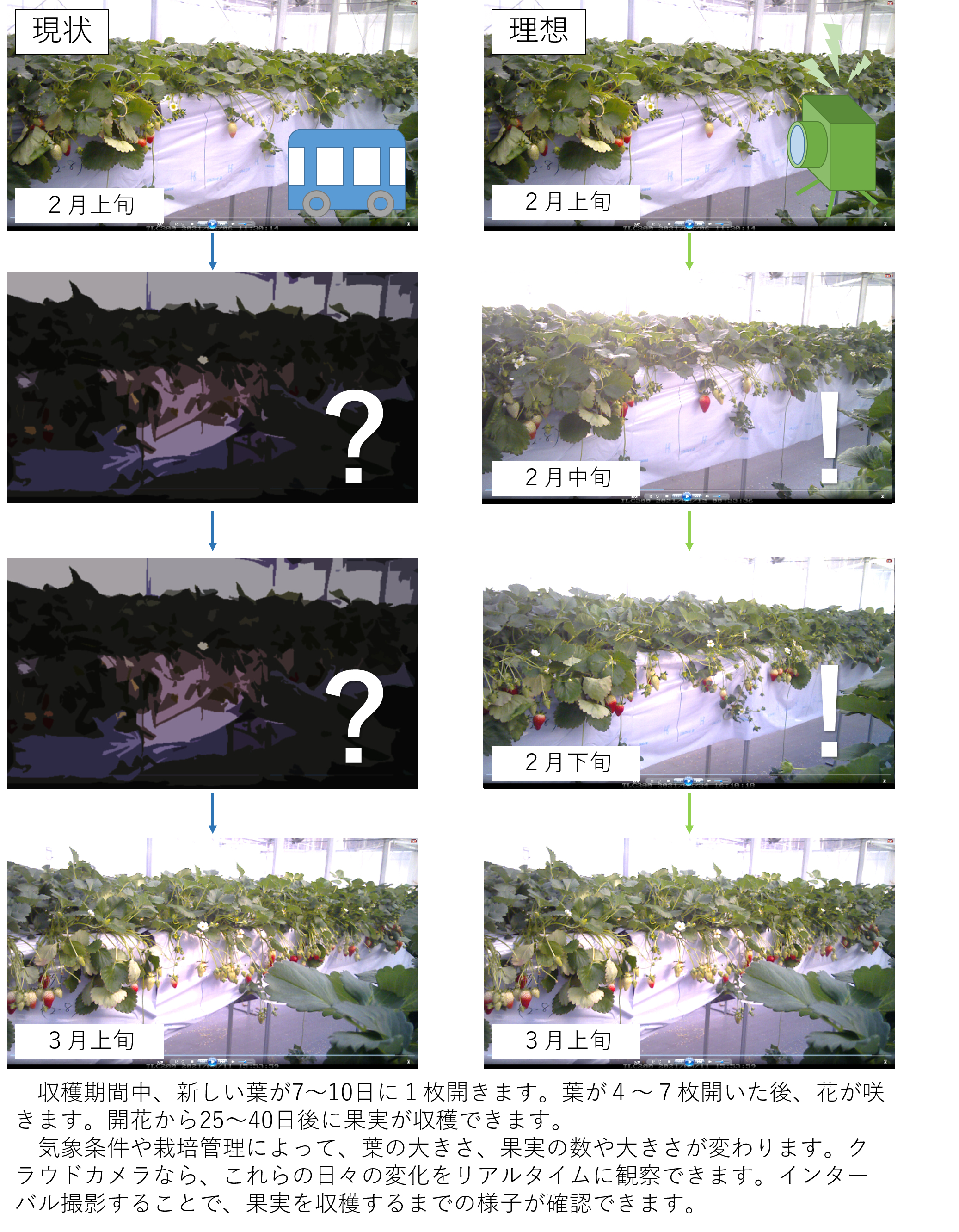 現状と理想リアルタイムでの栽培管理の提案