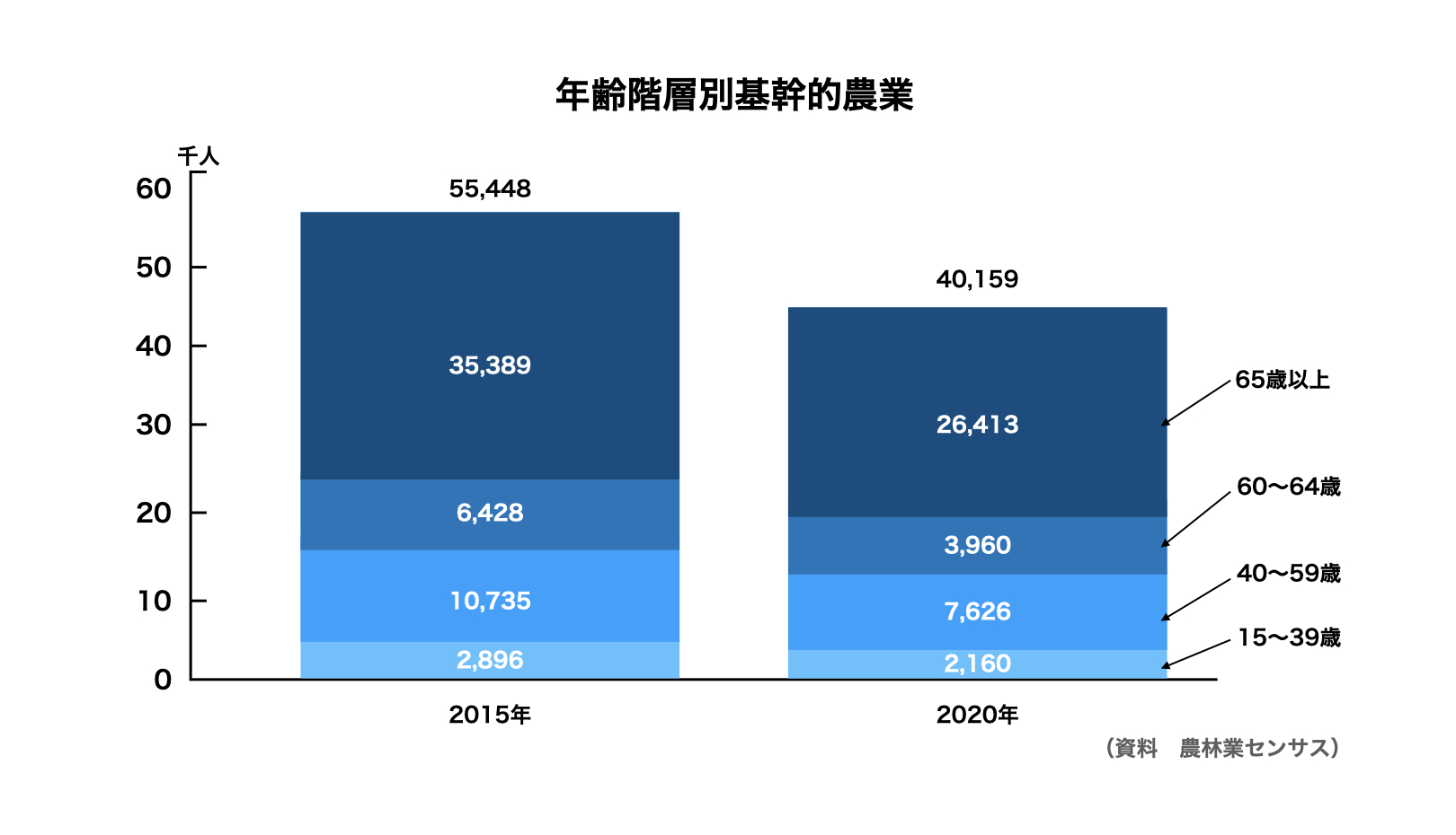 年齢階層別基幹的農業