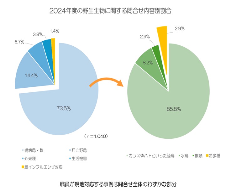 2024年度問い合わせ内容別割合